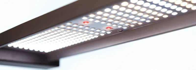 Migro ARRAY 4x4 2.7µmol/J 500W Dimbaar Full Spectrum LED