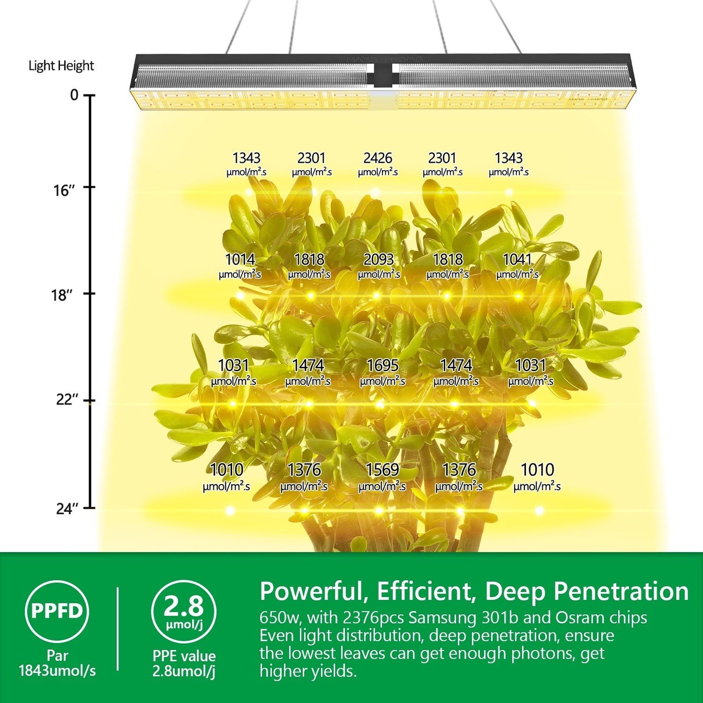 Mars Hydro SP6500 – 3.3µmol/J Dimbare Full Spectrum LED Kweeklamp
