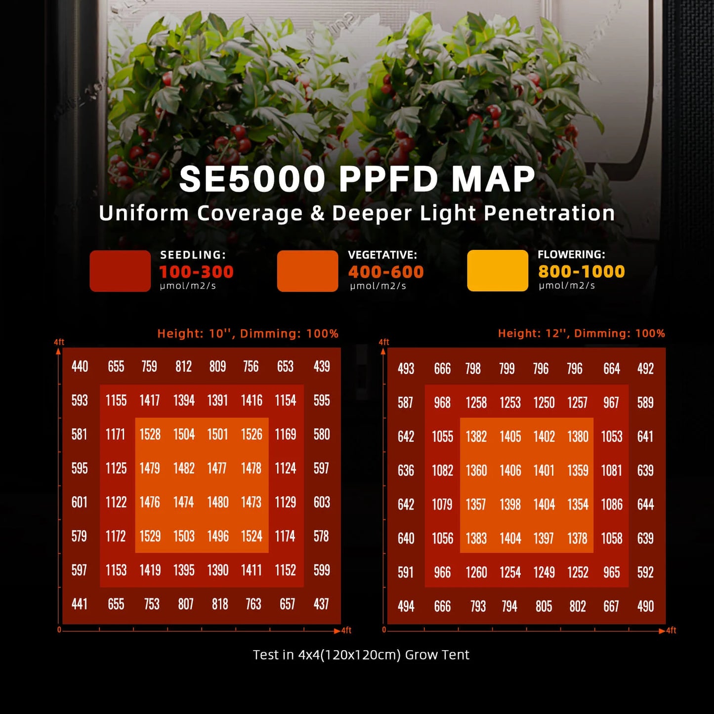 Spider Farmer SE5000 EVO Complete Grow Tent Kit – 120×120×200 cm Tent + 480W Full Spectrum LED + Nieuw 6” Ventilatiesysteem met GGS Controller