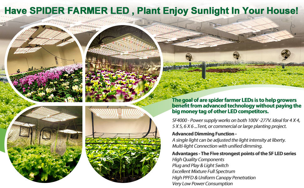 Spider Farmer SF4000 2,7 µmol/J 450 W