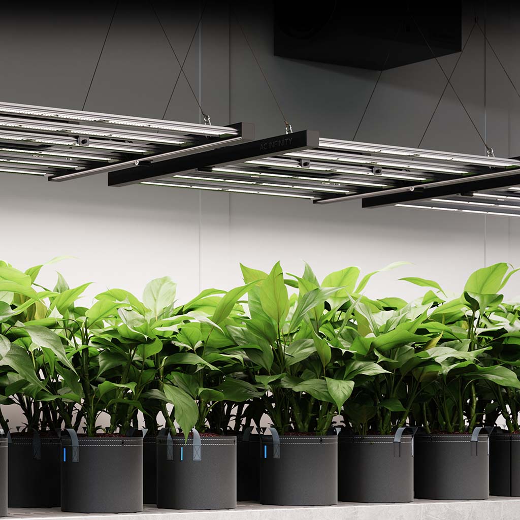 AC Infinity IONFRAME EVO6 – Samsung LM301H EVO Kommerzielles LED-Wachstumslicht, 500 W, bis zu 120 x 120 cm