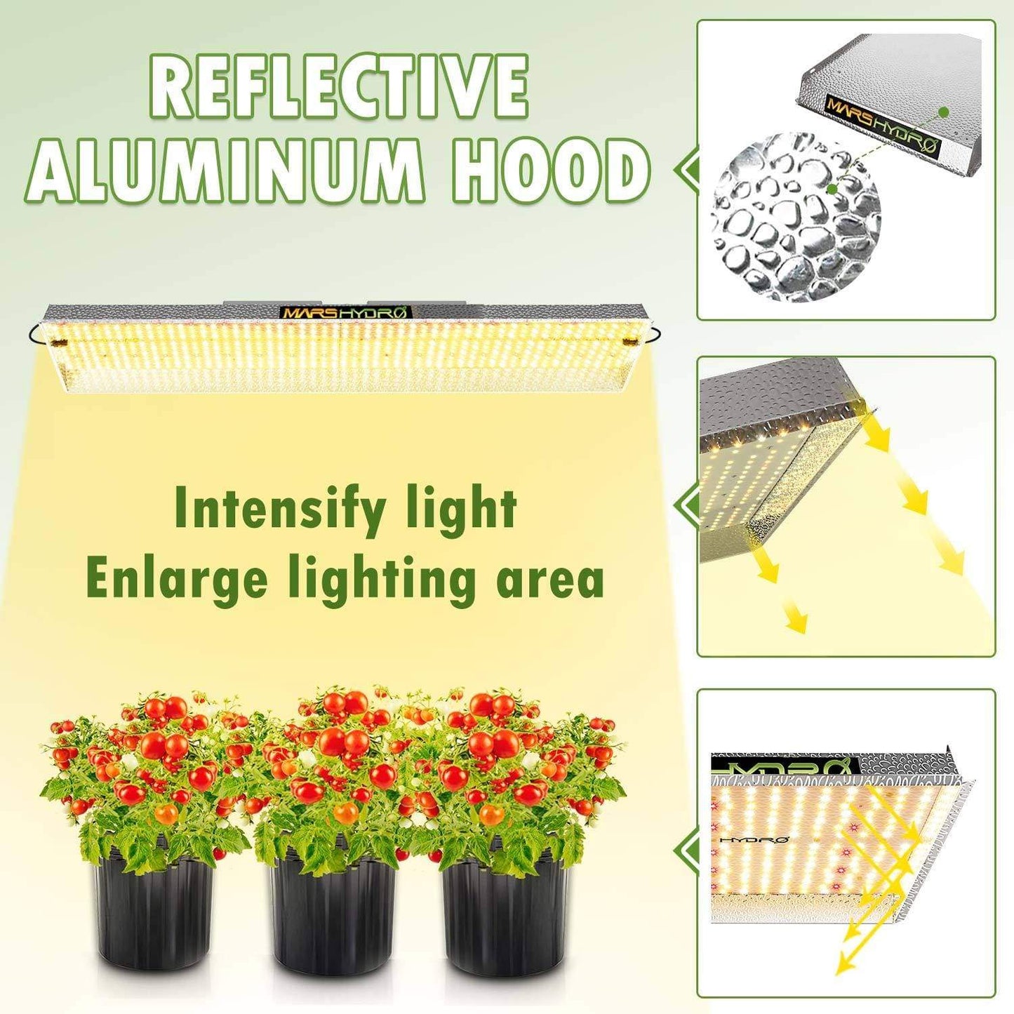 Mars Hydro kweeklamp voor groenten en kruiden binnenteelt