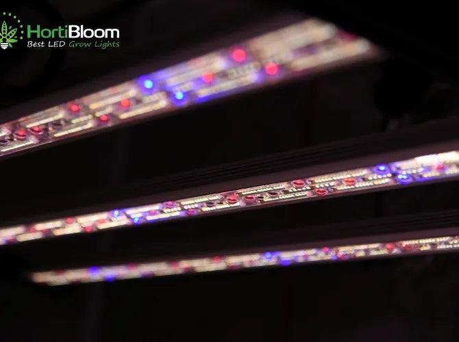 hortibloom mega optic 600w slimme led grow light für hydroponik pflanzen