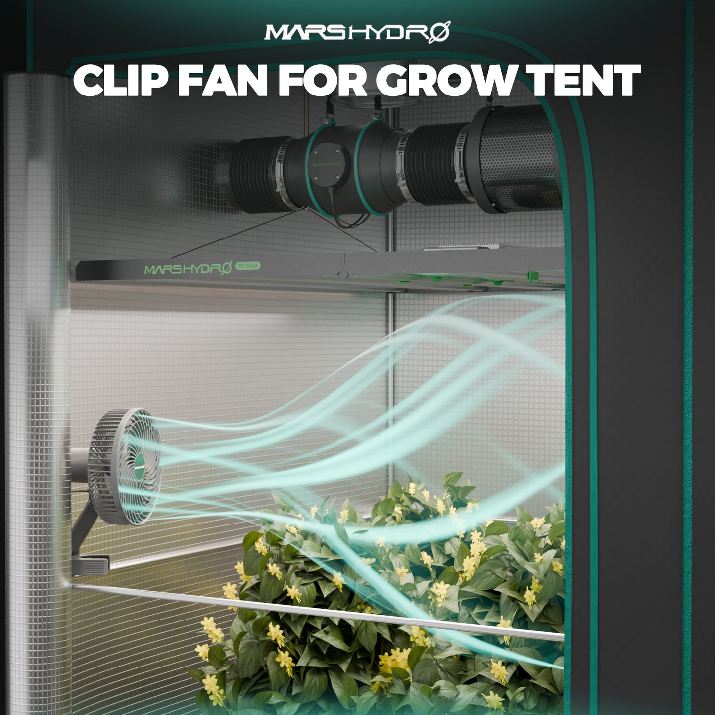 Complete Grow Tent Kit met 4 Kweekzakken | Grow Bags Included | Stofftöpfe im Growset