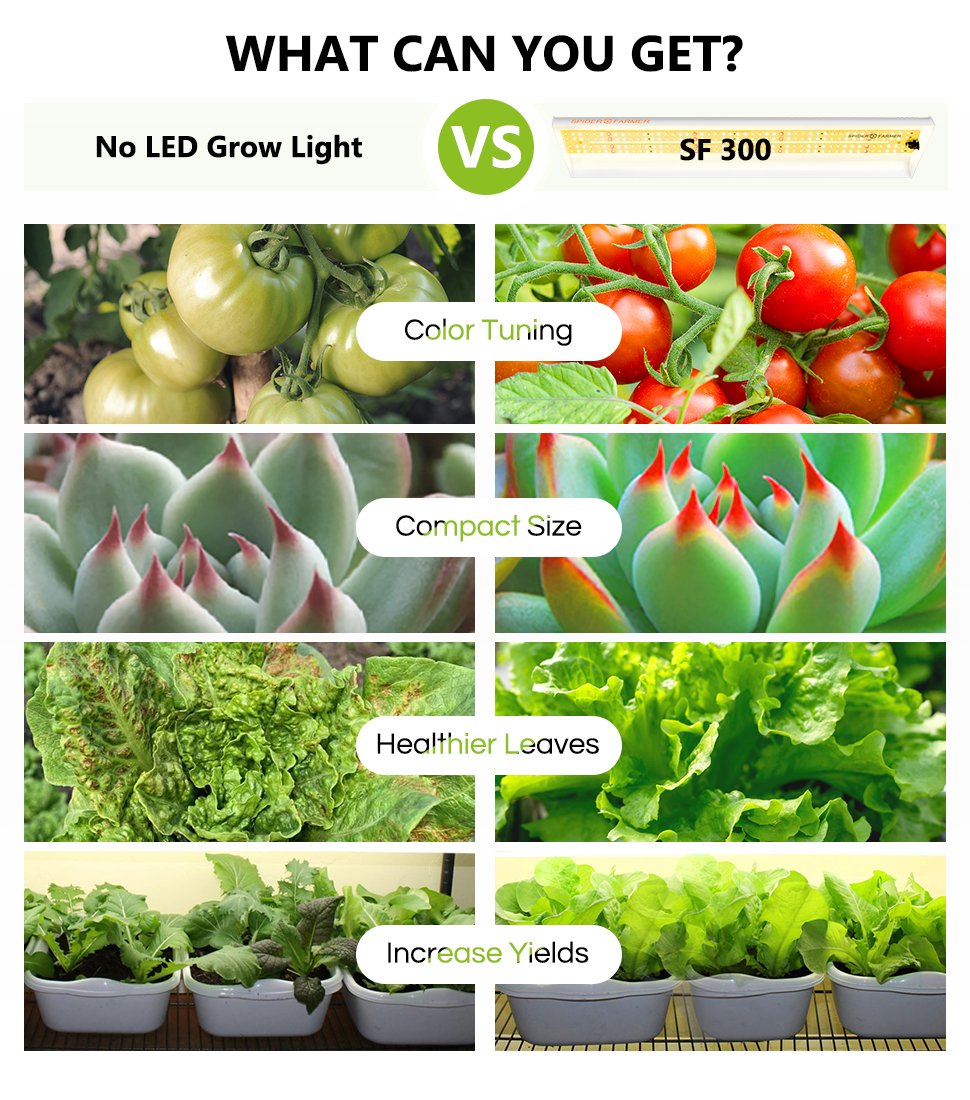 sf300 led lamp kleine kweekruimte | sf300 small grow space light | sf300 kleine anbaufläche lampe