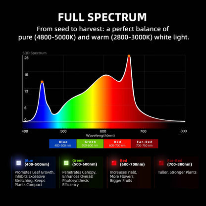 Spider Farmer G1000W 1000W Full Spectrum LED Kweeklamp met WiFi & Bluetooth – 150×150 cm (5×5) Kweektent