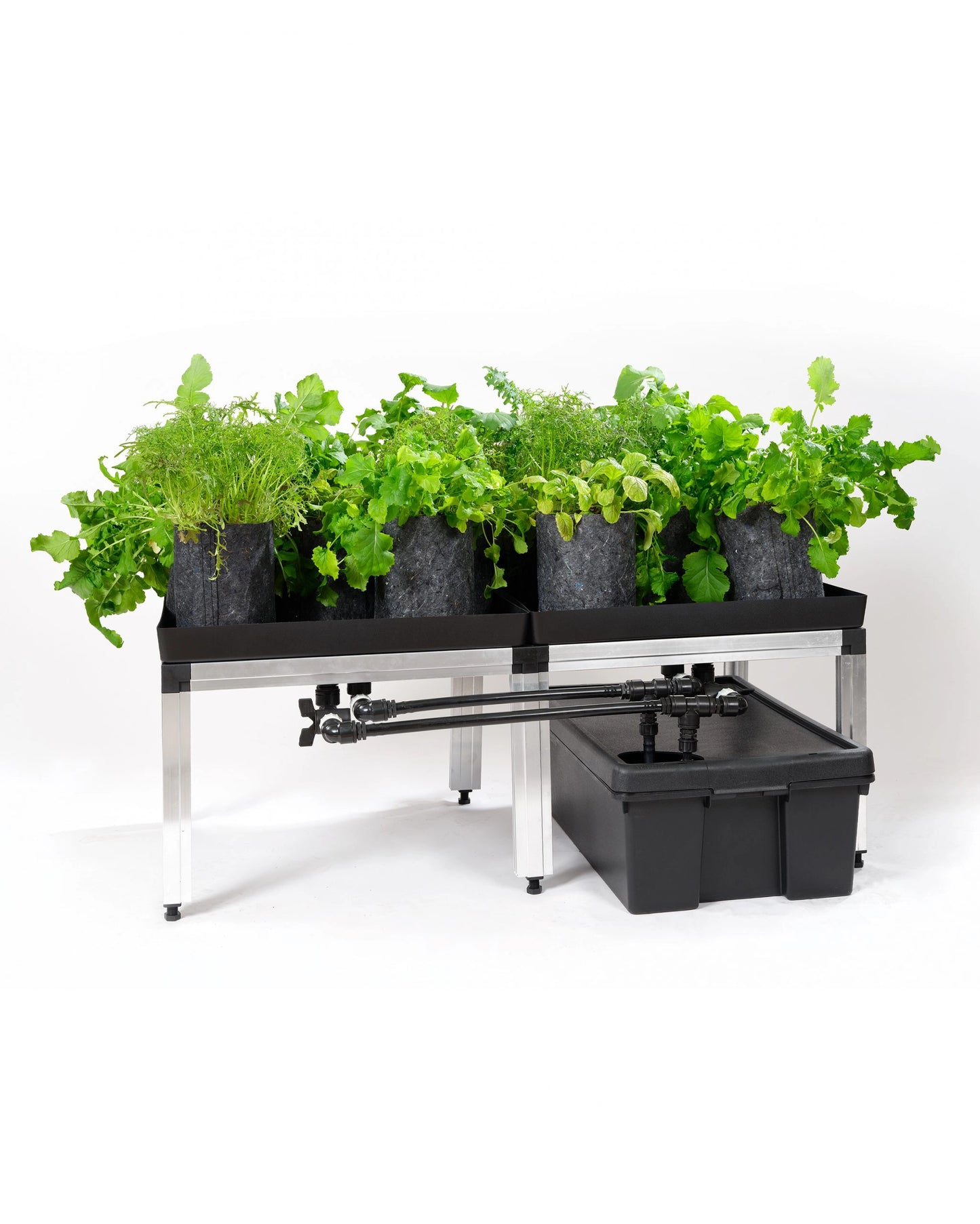 gtools bonanza clima 1m2 2x hortione 420 150w slimme kweeklamp smart grow light zelt