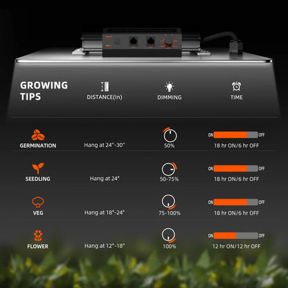 Compleet kweekpakket voor kruiden, groenten en bloemen