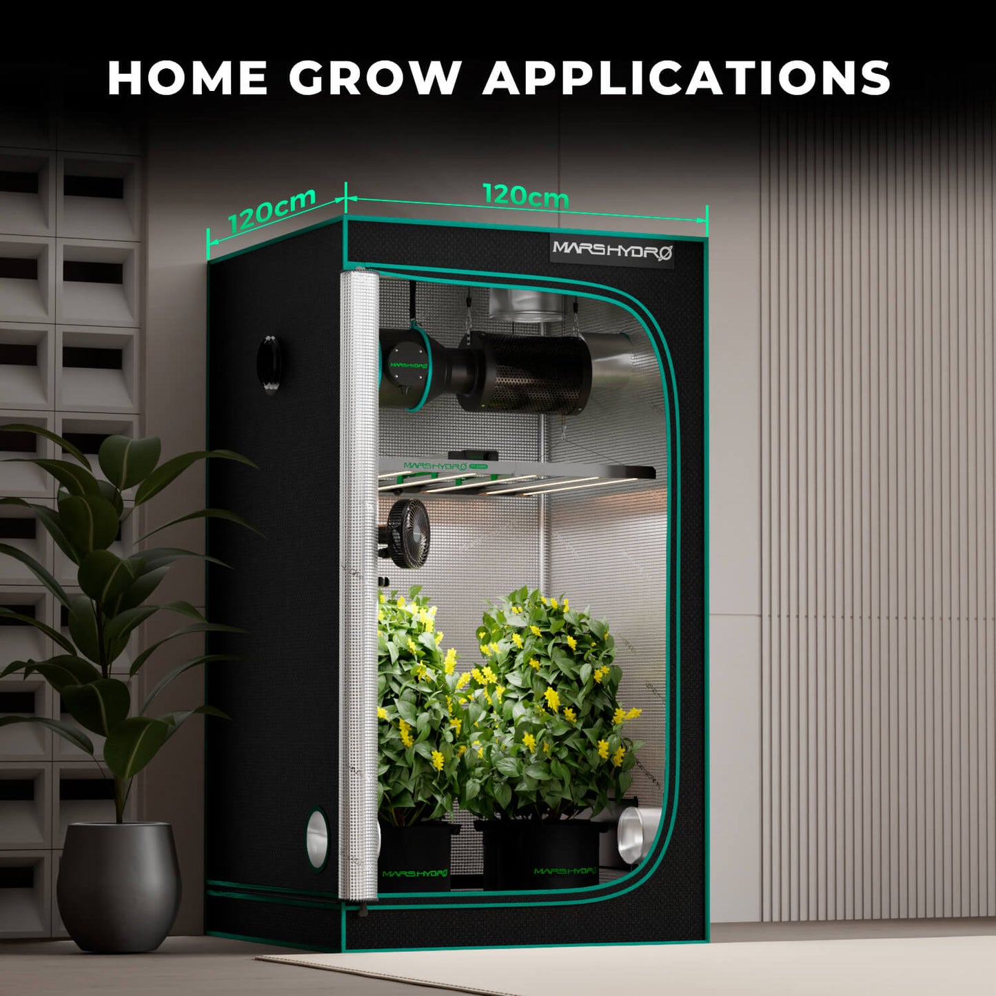 fc e4800 daisy chain 30 lampen | fc e4800 daisy chain grow lights | fc e4800 daisy chain pflanzenlampen