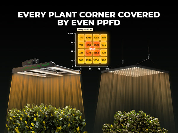 samsung evo chips led lamp mars hydro | samsung led grow | samsung pflanzenlampe