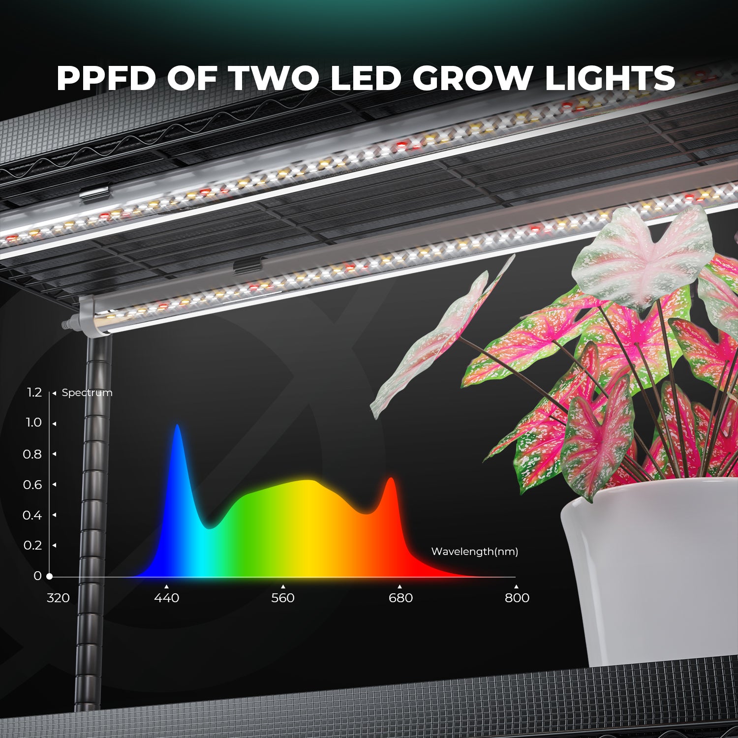 150W LED full spectrum groeilampen / LED grow light 150W / Vollspektrum Pflanzenlampe