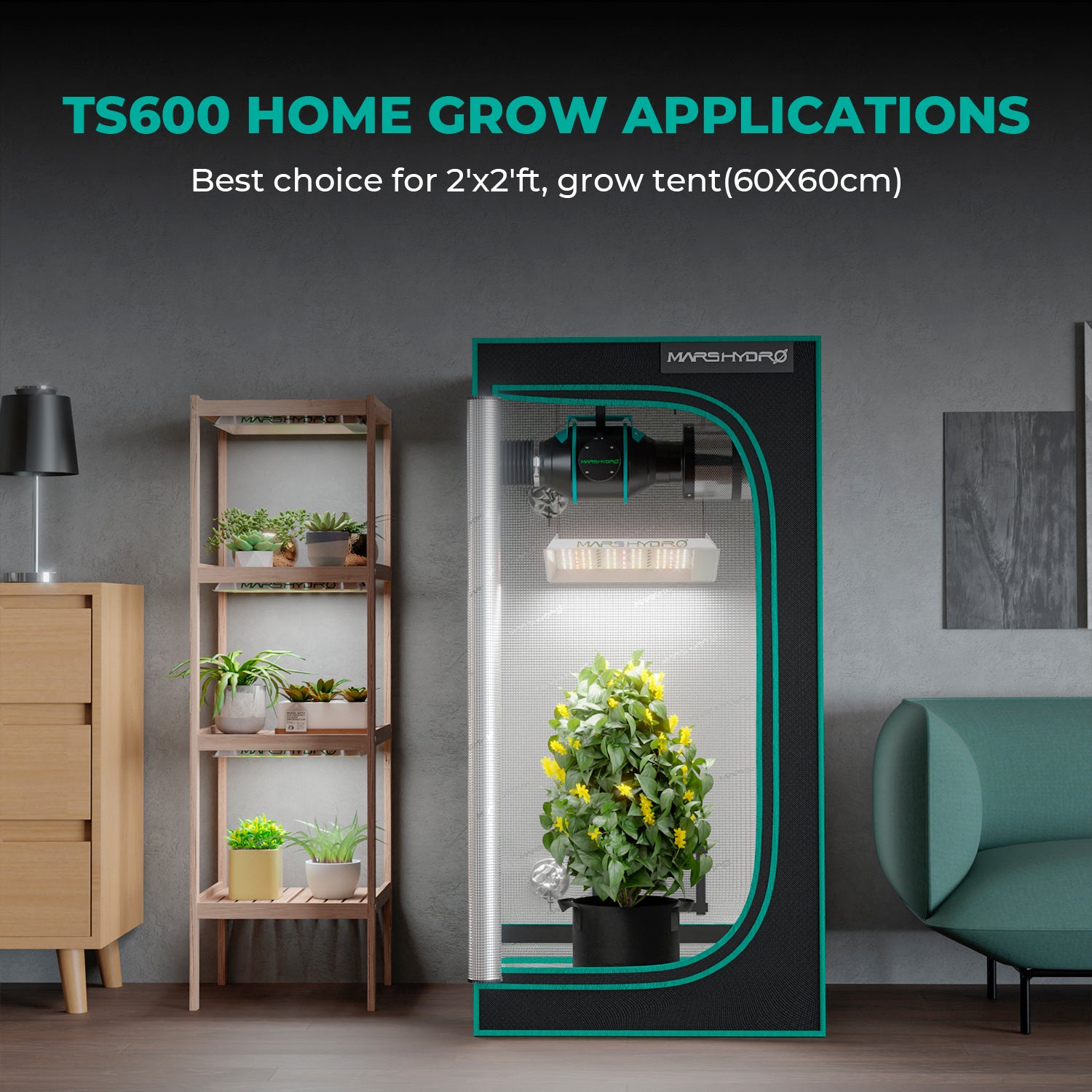 TS600 PAR 430 Groeilamp | High PPFD LED Light | Hohe PPFD Pflanzenlampe