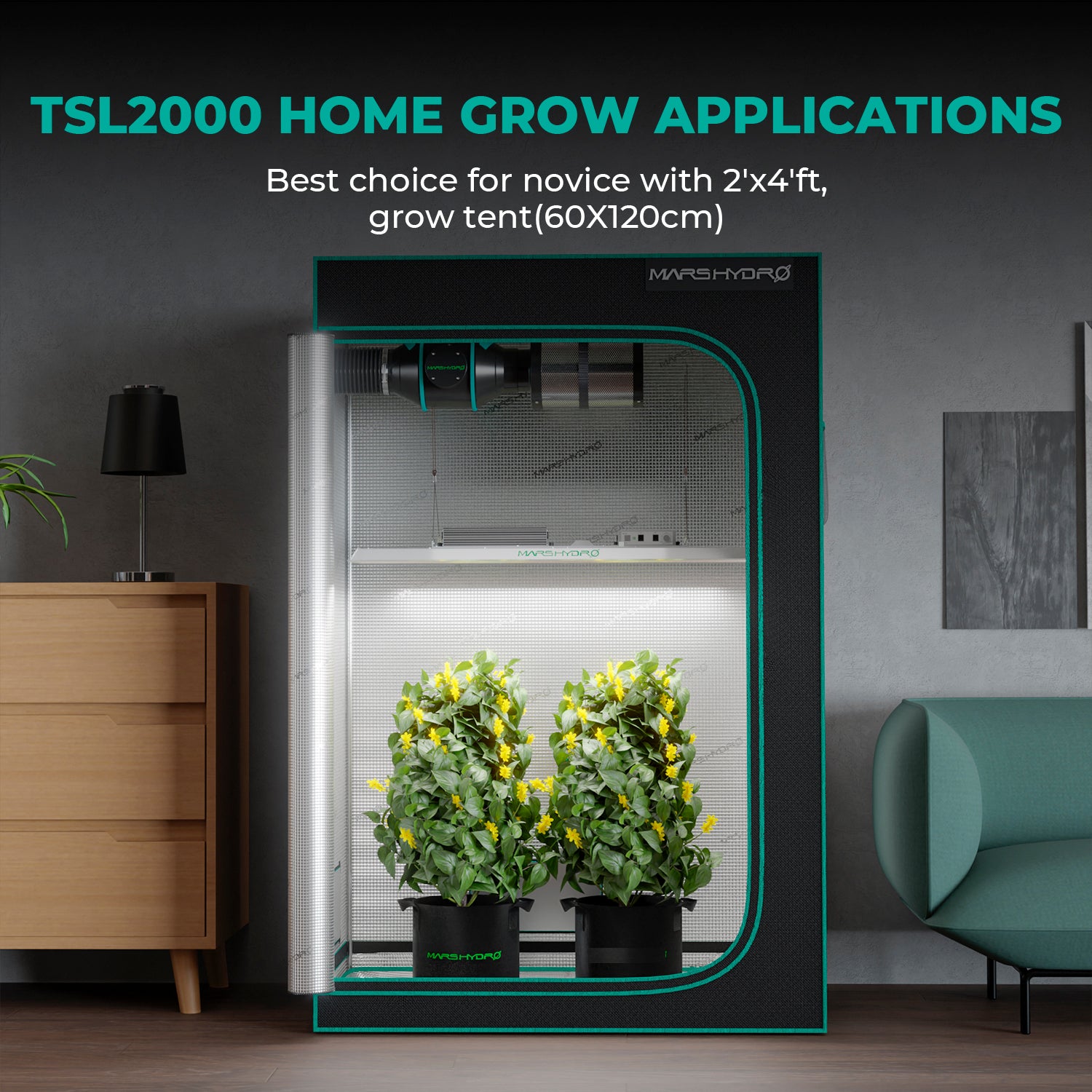 TSL2000 LED groeilamp in kweektent | Grow light for indoor plants | LED-Pflanzenlampe Growbox