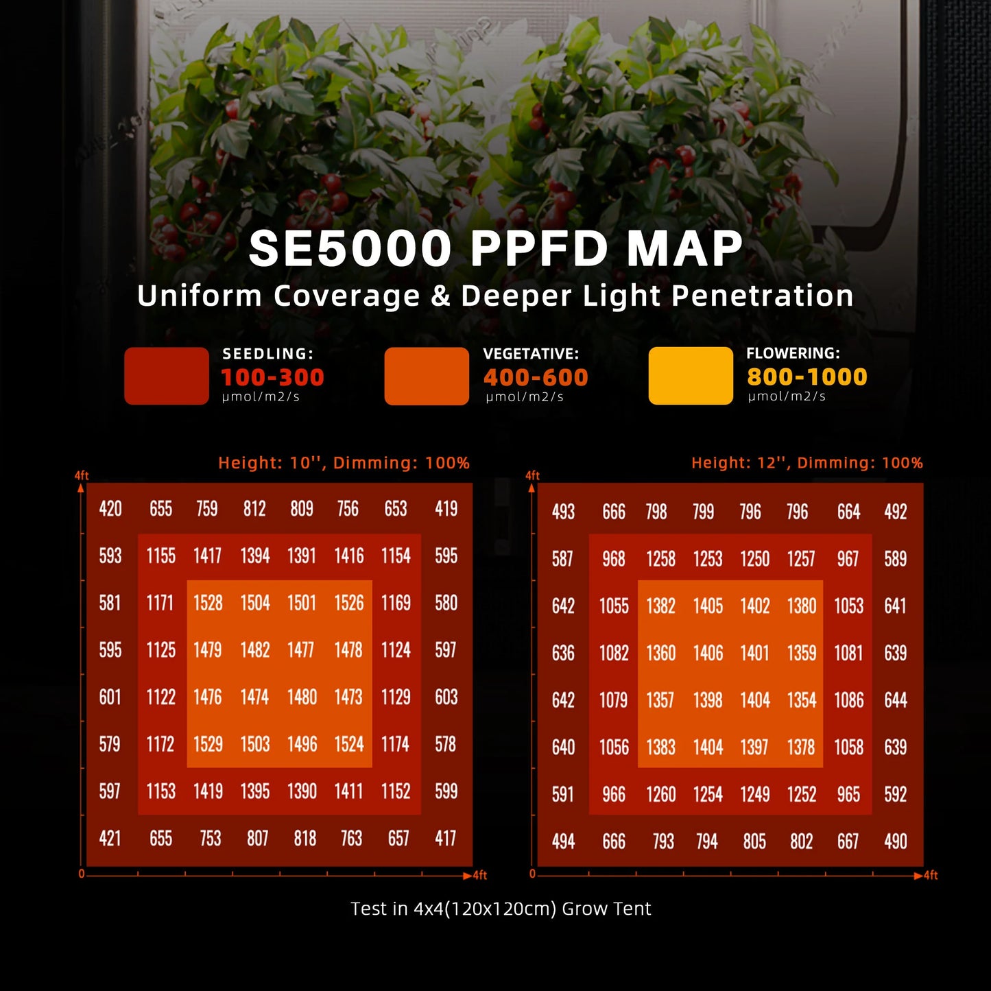 Spider Farmer SE5000 2,8 µmol/J LED-Wachstumslicht