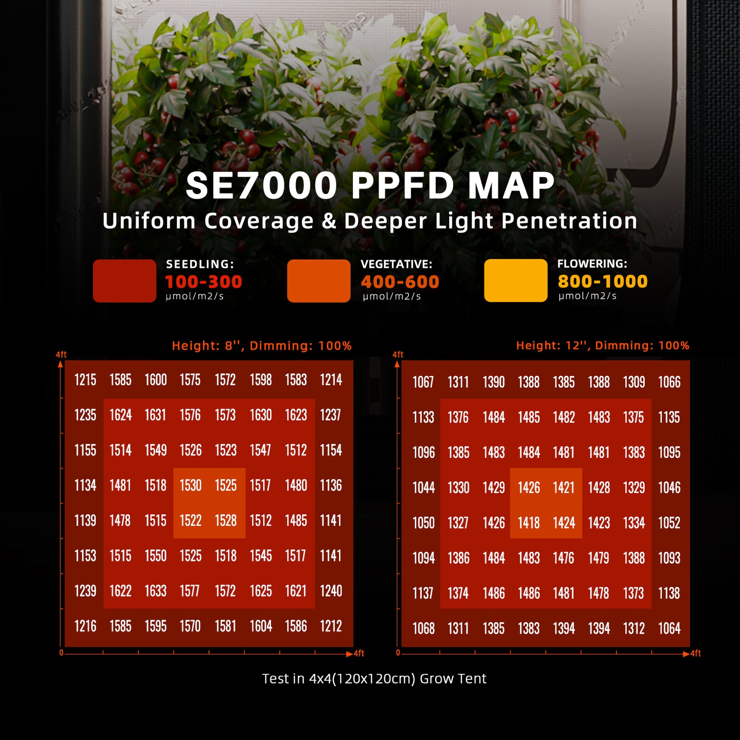 Spider Farmer SE7000 2,8 µmol/J LED-Wachstumslampe