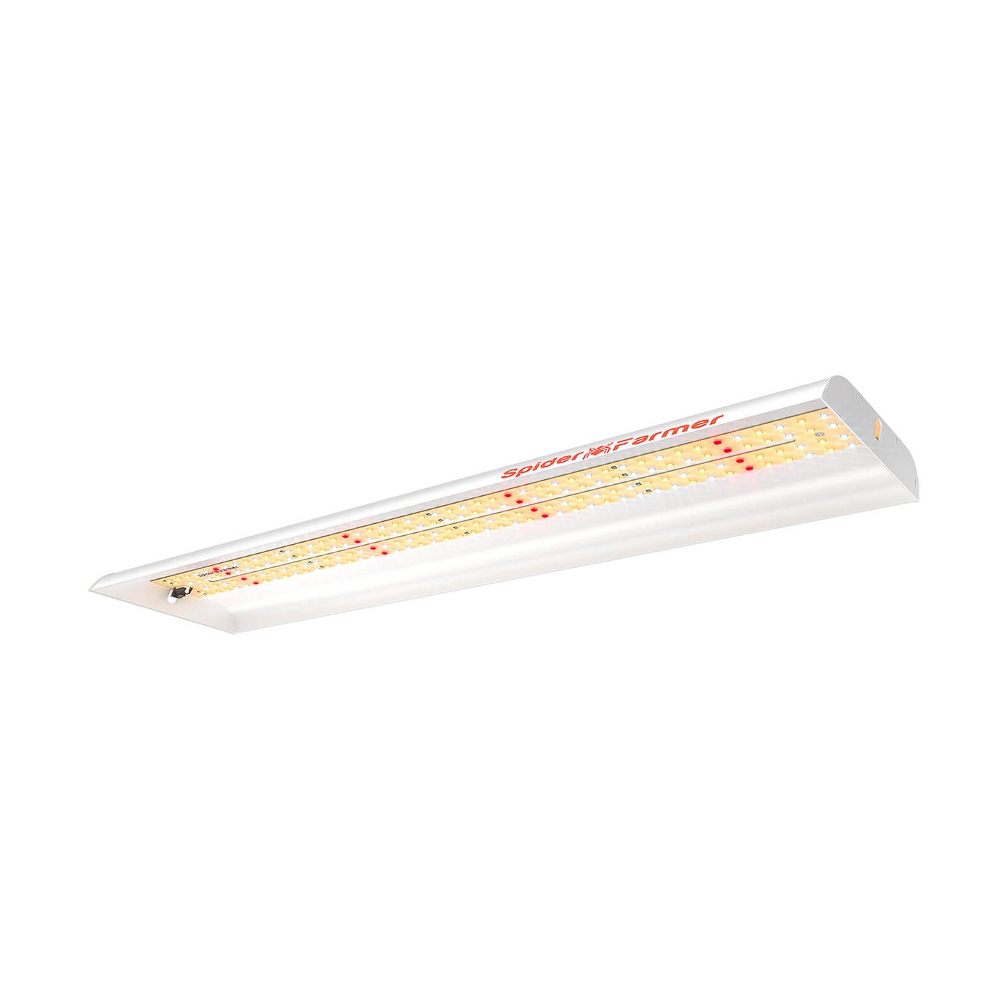 Spider Farmer SF300 33W LED kweeklamp voor zaailingen 60x60 kweektent / Spider Farmer SF300 33W LED grow light for seedlings 60x60 grow tent / Spider Farmer SF300 33W LED Pflanzenlampe für Keimlinge 60x60 Growbox