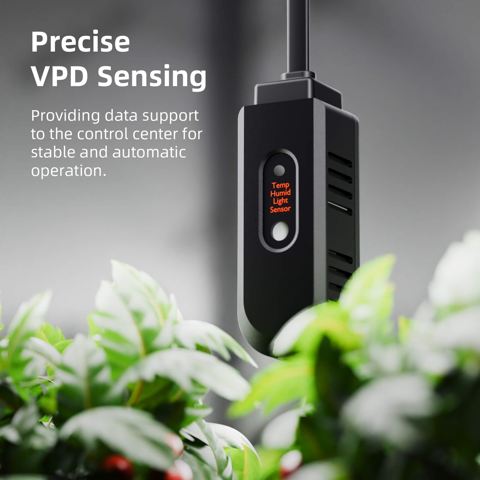 sf7000 tent kit voor binnenplanten | sf7000 indoor grow kit | sf7000 indoor anbauset