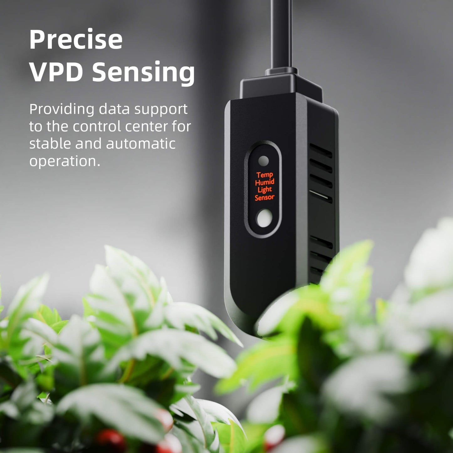 spider farmer kweektent 90x90x180 cm | spider farmer 3x3 grow tent | spider farmer zelt 90x90x180