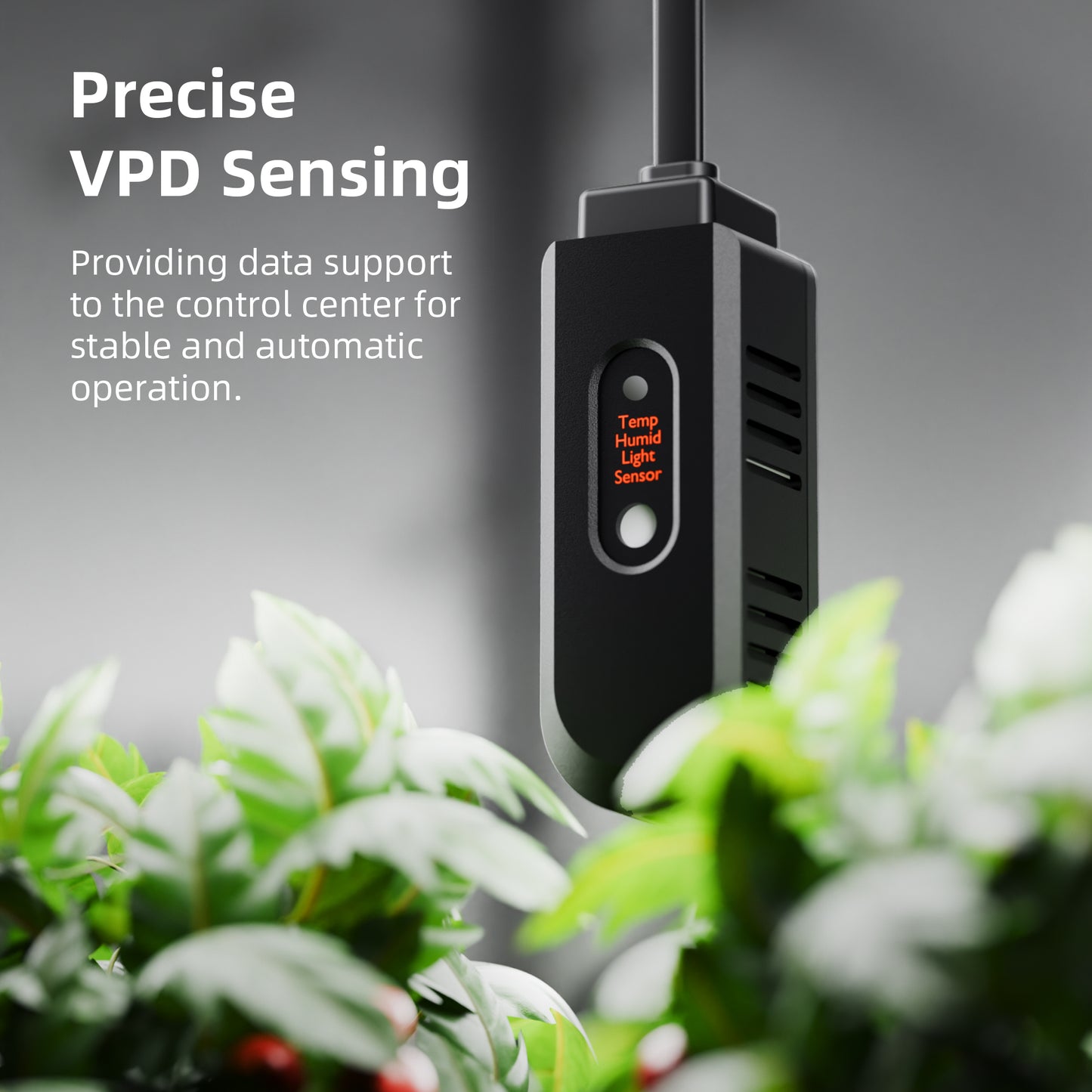 se3000 evo led kweeklamp full spectrum 300w | se3000 evo 300w full spectrum grow light | se3000 evo 300w full spectrum pflanzenlampe