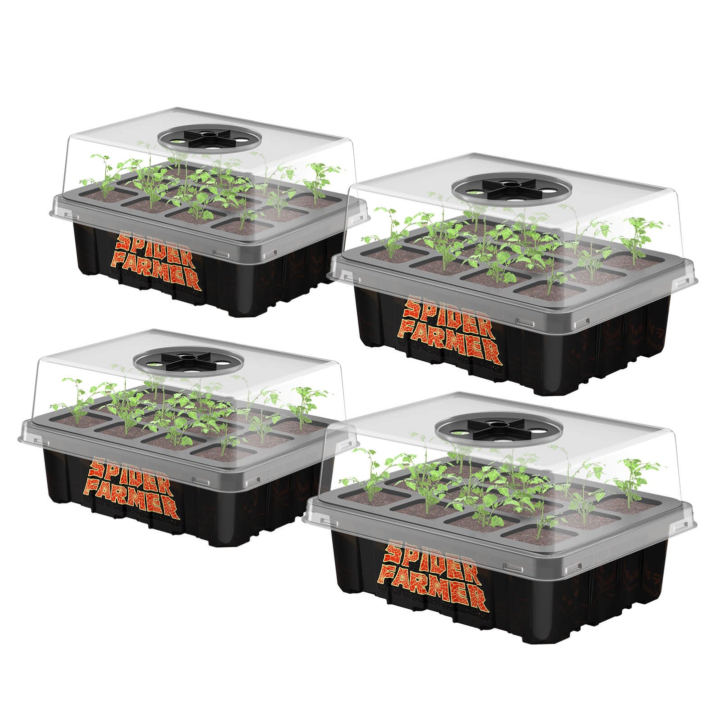 Spider Farmer Saatschalen, 4er-Pack