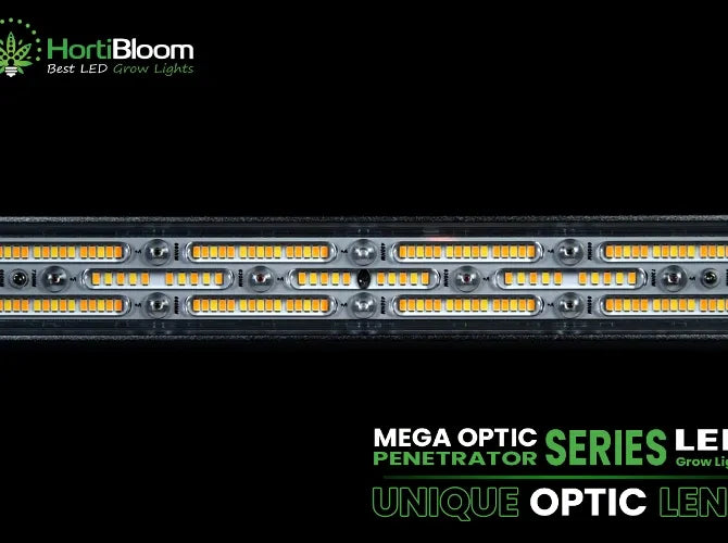 HortiBloom Mega Optic 720W 3,2 umol/J Wachstumslicht