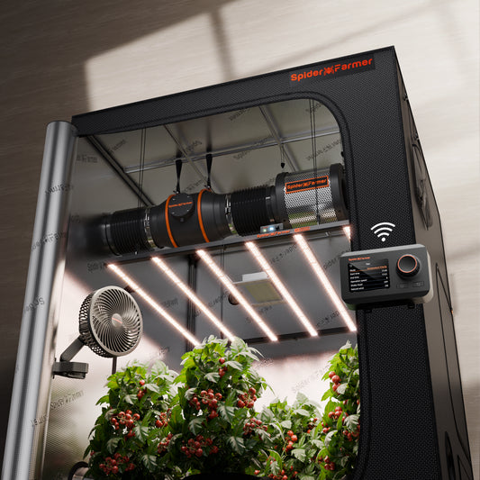 Spider Farmer G8600 Geautomatiseerde Complete Grow Tent Kit – 150×150×200 cm Tent + 800W LED + 6” Ventilatie + Clipfan + GGS App Controller