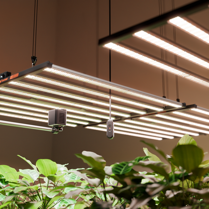 Spider Farmer Sensor Pro voor GGS Systemen | Accurate Climate and Light Control | Temperatur- und Luftfeuchtesensor Set